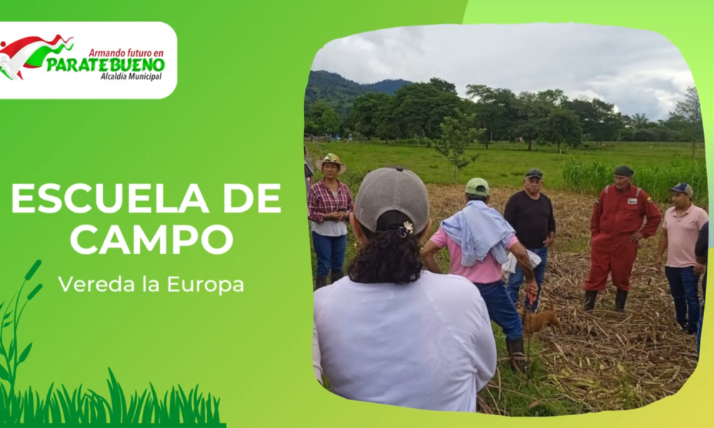 ESCUELA DE CAMPO VEREDA LA EUROPA