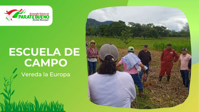 ESCUELA DE CAMPO VEREDA LA EUROPA