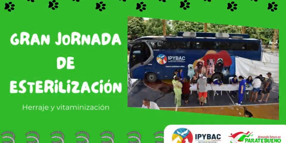 GRAN JORNADA DE ESTERILIZACIÓN